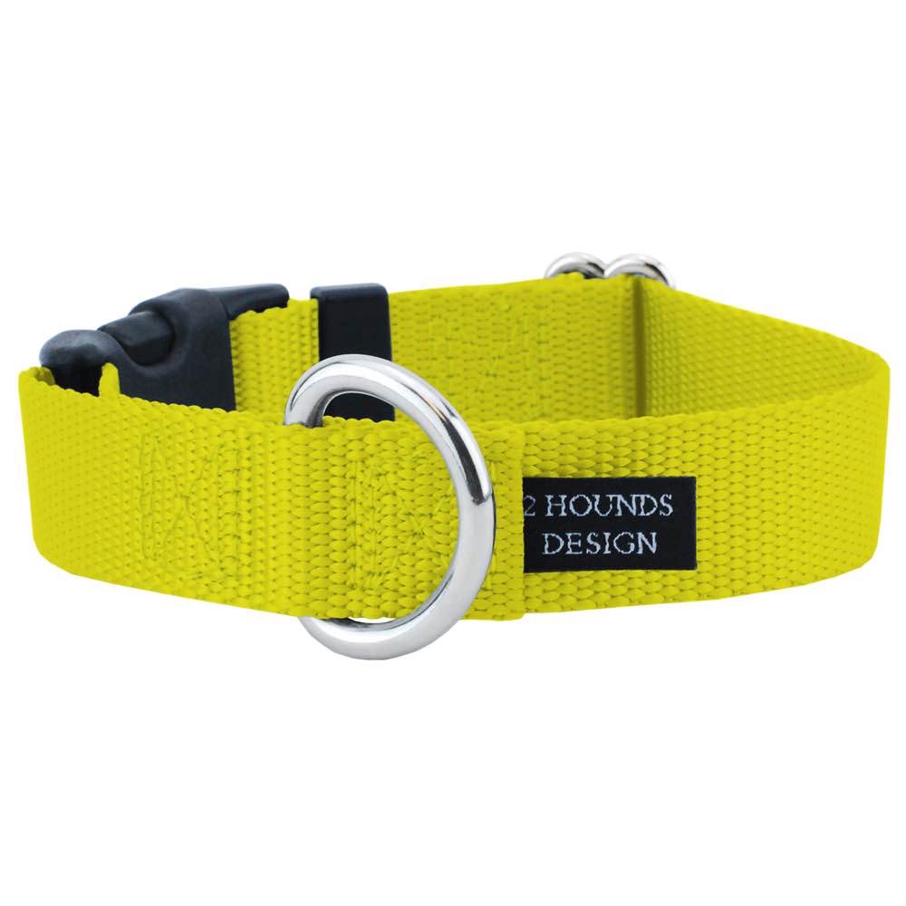 Dog Buckle Collar Matches Freedom No Pull Harness